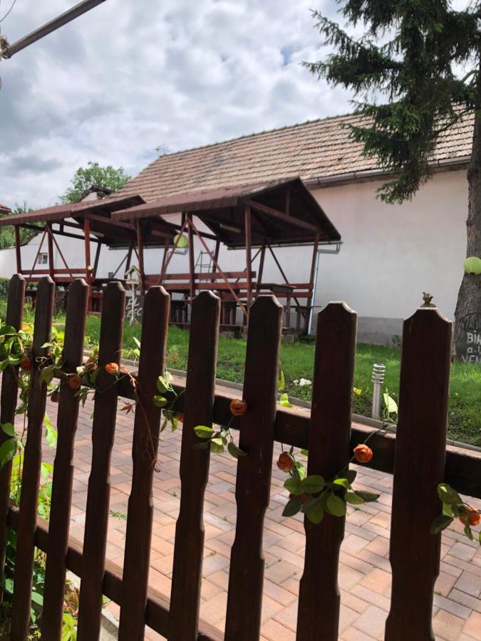 Pensiunea El Greco Frîna Exterior foto